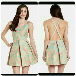 Anthropologie $168 Dolce Vita shabby chic dress